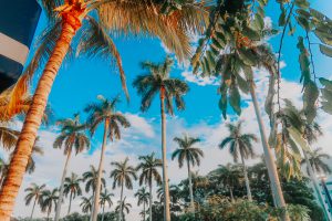 Palm Beach Travel Guide